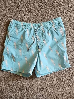 Men's Light Aqua Parrot Print Swim Trunks
